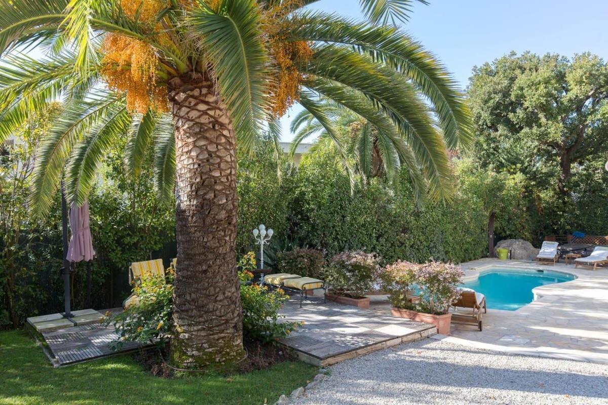 B024 - Magnifique - Piscine - Centre * Cannes